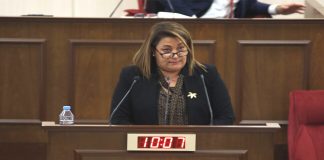 Gülşah Sanver Manavoğlu