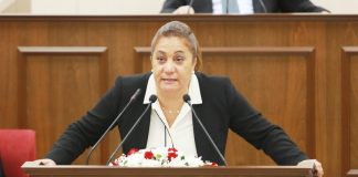 Gülşah Sanver Manavoğlu