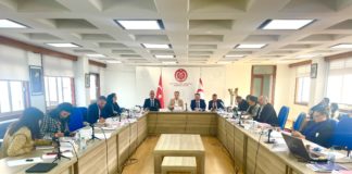 Kamu Hizmeti Komisyonu ve İçişleri Bakanlığı bütçeleri Komite'den geçti