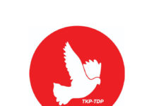 TDP Toplumcu Demokrasi Partisi