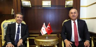 Tahsin Ertuğruloğlu, Türkiye Dışişleri Bakanı Mevlüt Çavuşoğlu