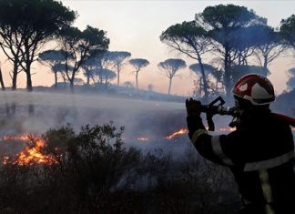 Fransa'nın Pireneler bölgesinde çıkan yangın