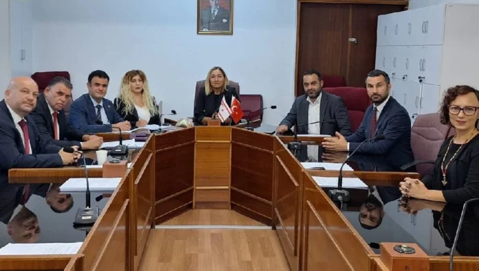 Ceza (Değişiklik) Yasa Önerisi Meclis komitesinde onaylandı
