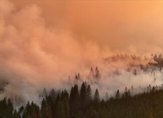 ABD'nin California eyaletinde orman yangını nedeniyle binlerce kişi tahliye edildi