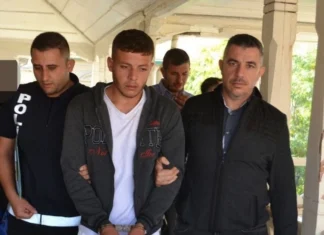 Ülkeye kaçak yollardan giriş yapan zanlı cezaevine gönderildi