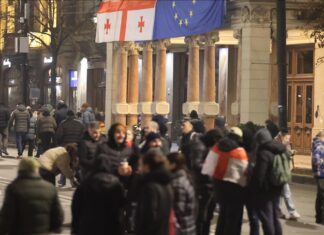 Gürcistan'daki AB yanlısı göstericilerin protestosu 13 gündür devam ediyor