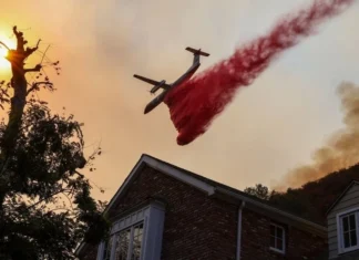 Los Angeles yangını: Can kaybı 16'ya yükseldi