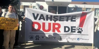 Hayvanlar mal değil, candır! Adalet hepimiz içindir