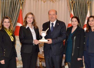 Cumhurbaşkanı Tatar Kıbrıs Türk Eczacılar Birliği heyetini kabul etti