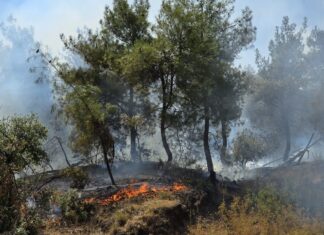 İskele’de düzenlenen toplantıda yangın önlemleriyle ilgili kararlar açıklandı… Risk bölgeleri belirlendi