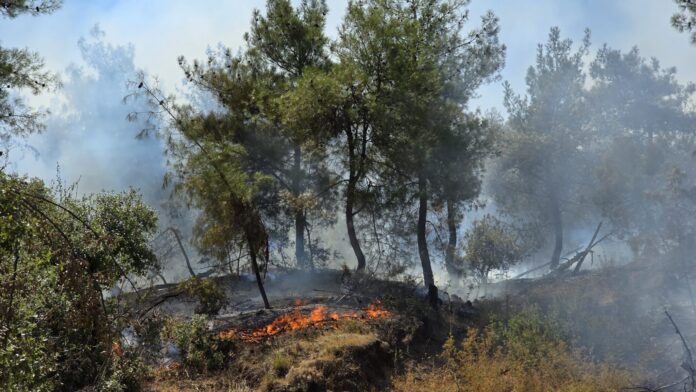 İskele’de düzenlenen toplantıda yangın önlemleriyle ilgili kararlar açıklandı… Risk bölgeleri belirlendi