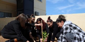 İskele Belediyesi, 8 Mart Kadınlar Günü dolayısıyla bölgede yaşayan kadınlara fidan hediye etti